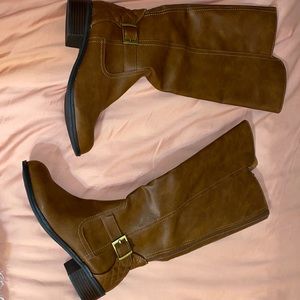Brown Arizona leather boots